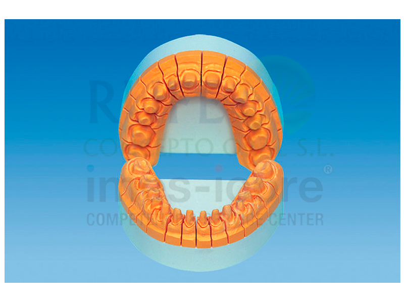 picodent quadro-rock® plus