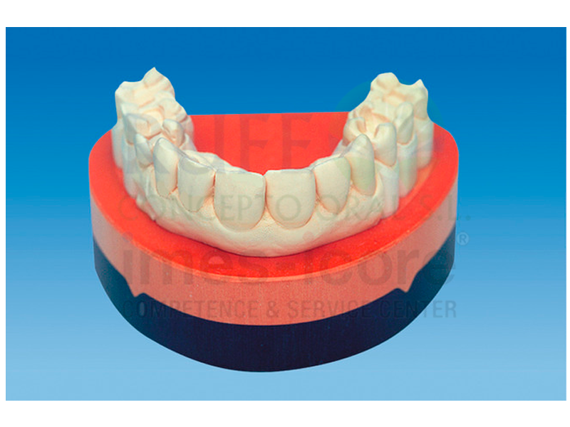 picodent® Z 260 v